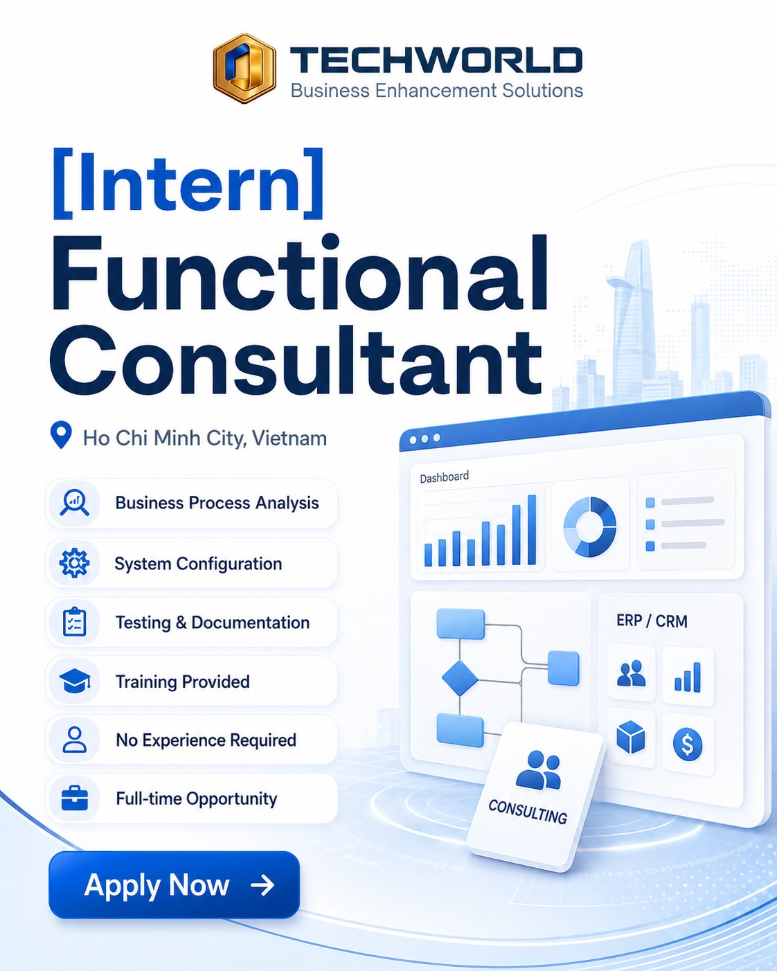 Functional Consultant Intern at Techworld Solutions Australia